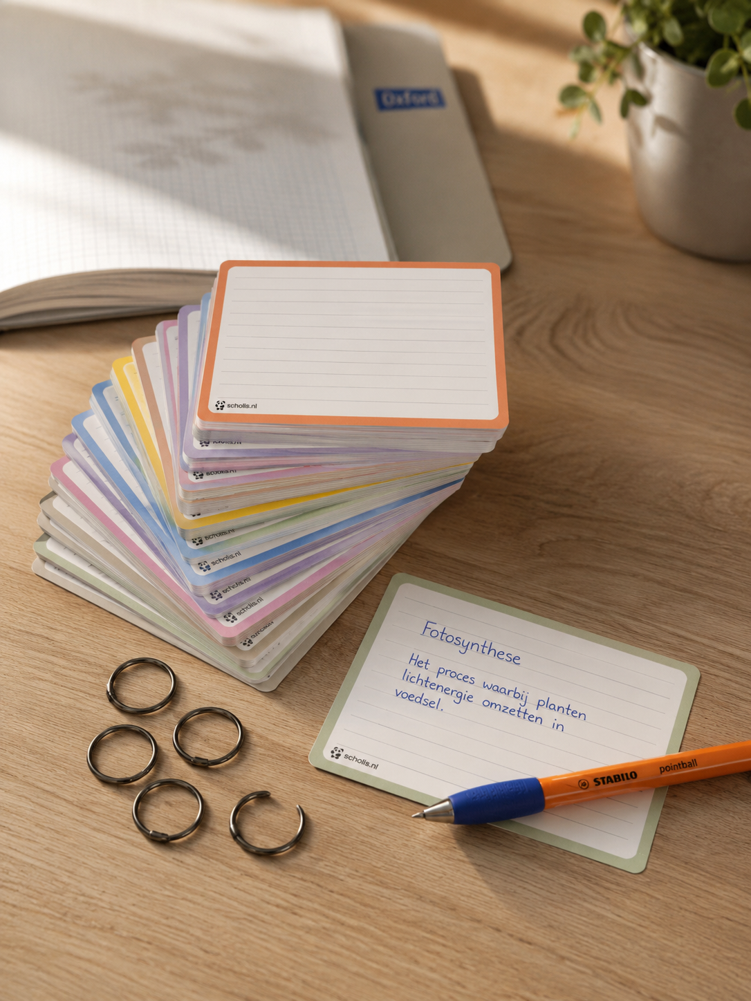 Scholis Flashcards A7 Pastel — 500 Stuks